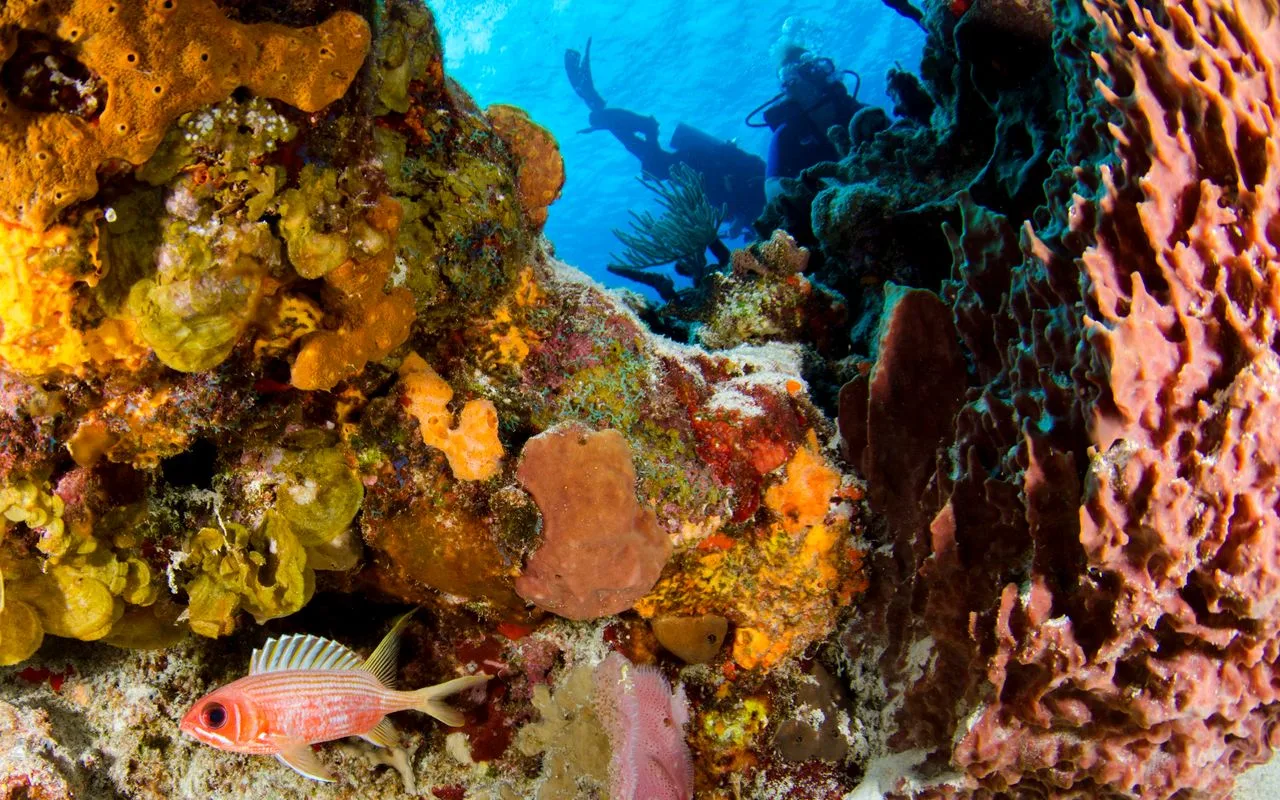Diving & Snorkeling di Bali