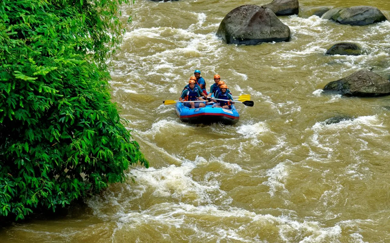 Rafting & Petualangan Hutan Bali: Ayung vs Telaga Waja
