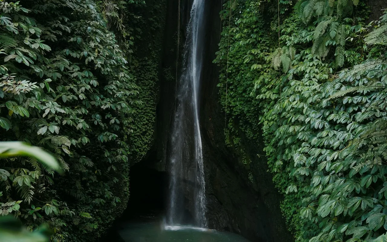 Air Terjun Bali: Wisata Sehari dari Nusa Dua (2026)